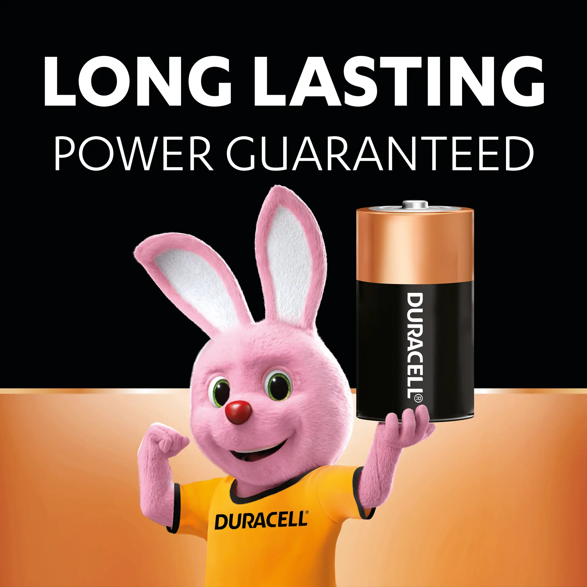 Duracell Batteries Type D 2 Pcs - view 6